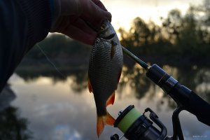 DSC_0171.JPG