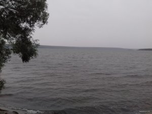 20190706_054335.jpg