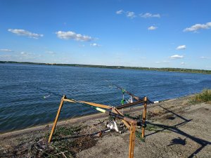 IMG_20190706_182227.jpg