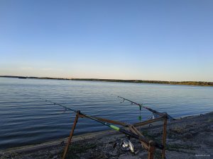 IMG_20190706_195355.jpg