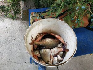 IMG_20190707_102430.jpg