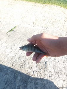 20190707_082815.jpg