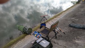 IMG_20190711_082642.jpg