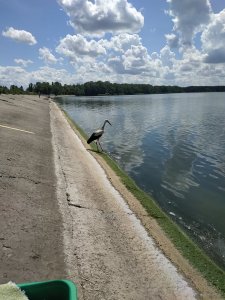 IMG_20190713_115403.jpg