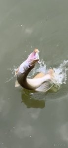 IMG-1dc4fef4895e60e65c93c7c23a5a1131-V.jpg