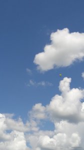 20190714_123312.jpg