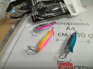 IMG_20190708_075259.jpg