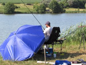 IMG_2344.JPG