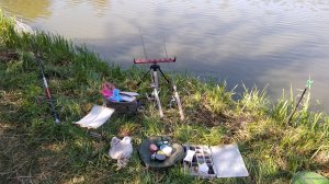 IMG_20190719_085658.jpg