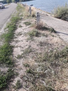 20190720_163405.jpg