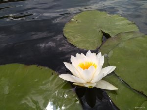 IMG_20190721_123753.jpg