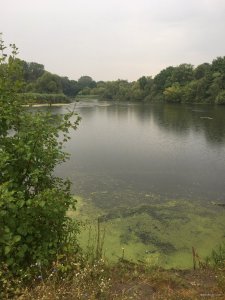 IMG_1845.JPG