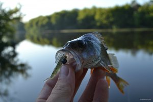 DSC_0110.JPG