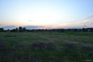 DSC_0016.JPG