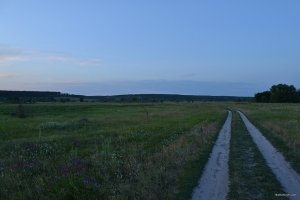 DSC_0017.JPG