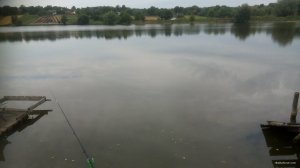 1564118552214-1136599078.jpg