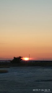 IMG_20190726_051945.jpg