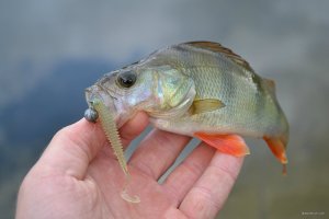 DSC_0278.JPG