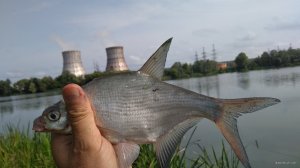 IMG_20190727_091309.jpg