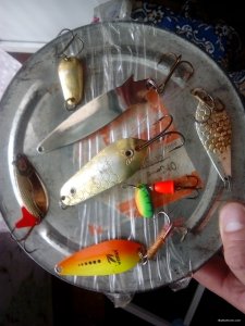 IMG_20190727_123453.jpg