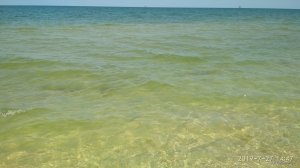 IMG_20190727_144742.jpg