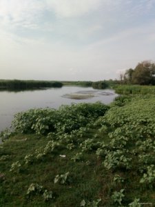 IMG_20190727_080851.jpg