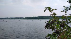 IMG_20190728_100308.jpg