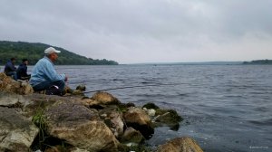 IMG_20190727_213733.jpg