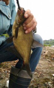 IMG_20190727_220811.jpg