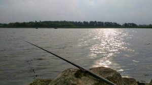 IMG_20190728_091453.jpg