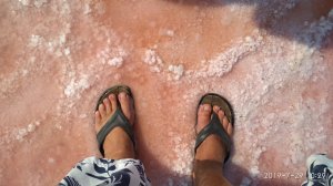 IMG_20190729_102944.jpg