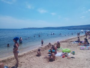 IMG_20190718_125646.jpg
