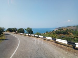 IMG_20190723_092841.jpg