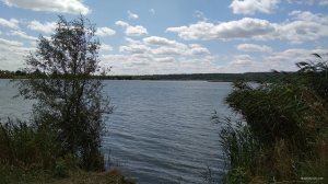 IMG_20190731_132132.jpg