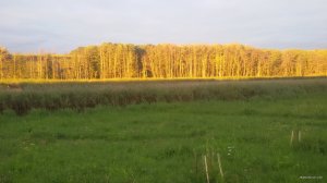 20190801_052952.jpg