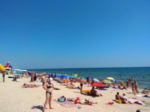 IMG_20190721_110342.jpg