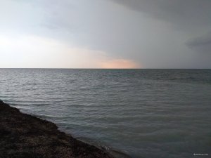 IMG_20190723_181916.jpg