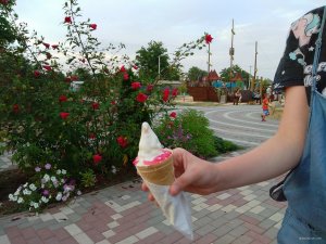 IMG_20190724_194000.jpg