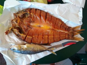 IMG_20190727_120405.jpg