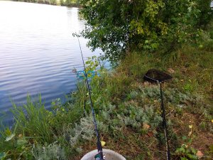 IMG_20190801_075715.jpg
