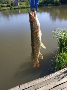 IMG_20190606_080915.jpg