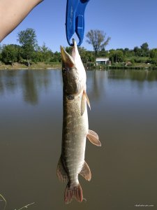 IMG_20190606_085911.jpg