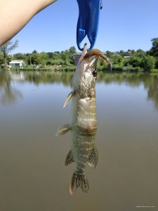 IMG_20190606_092720.jpg