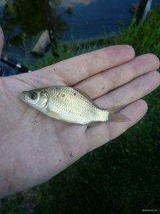 IMG_20190731_183942.jpg
