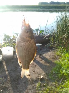 IMG_20190804_105812.jpg