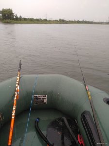 IMG_20190804_160818.jpg