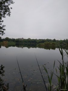 IMG_20190804_070916.jpg