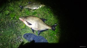 IMG_20190807_011852.jpg