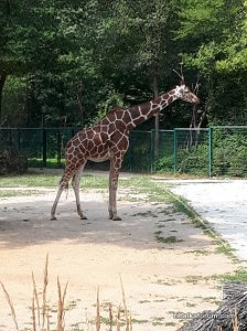 20190728_110346.jpg