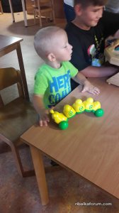 20190730_131047.jpg